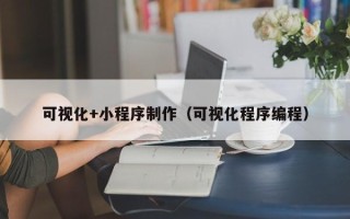 牡丹江可视化+小程序制作（可视化程序编程）